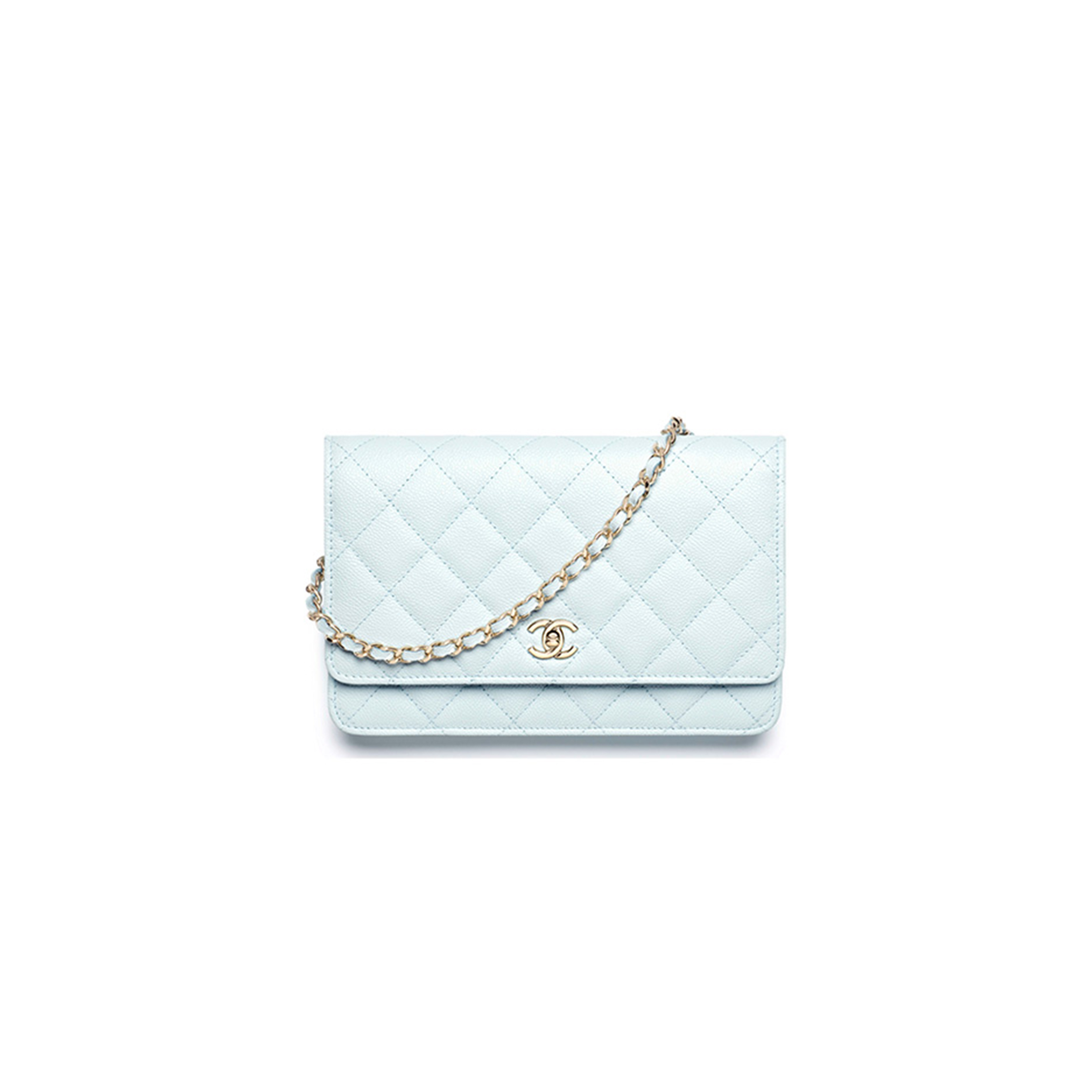 CHANEL CLASSIC WALLET ON CHAIN AP4241 (19.5*12*4cm)